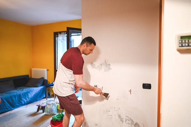 Best Certified Mold Removal  in Alpharetta, GA